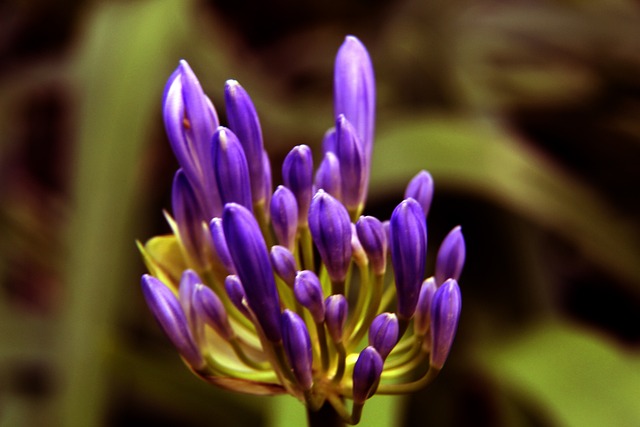 国的比赛 国的比赛