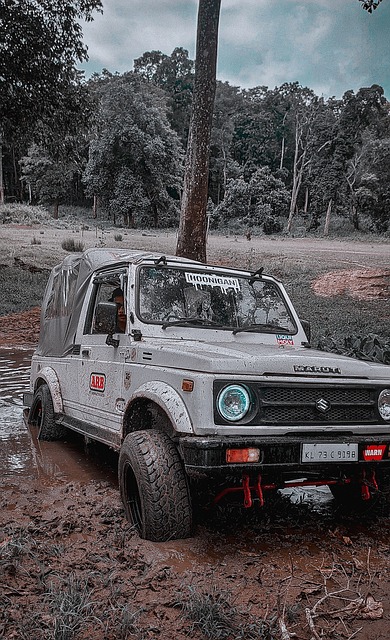 賽高知聯隊 賽高知聯隊