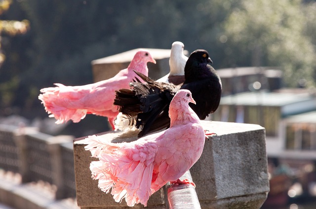 境中突围 境中突围