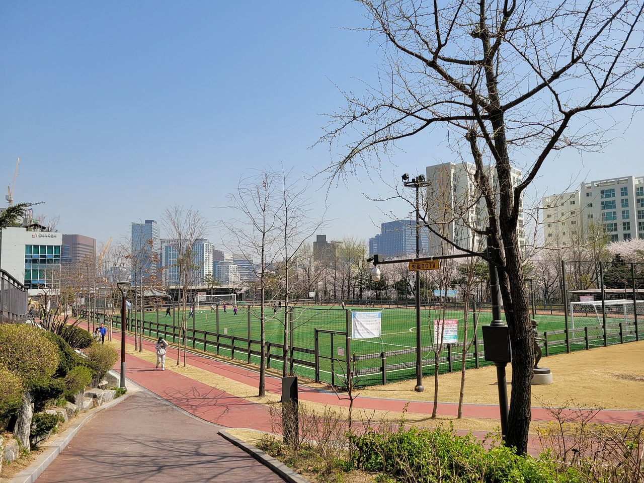 团队与个人 团队与个人