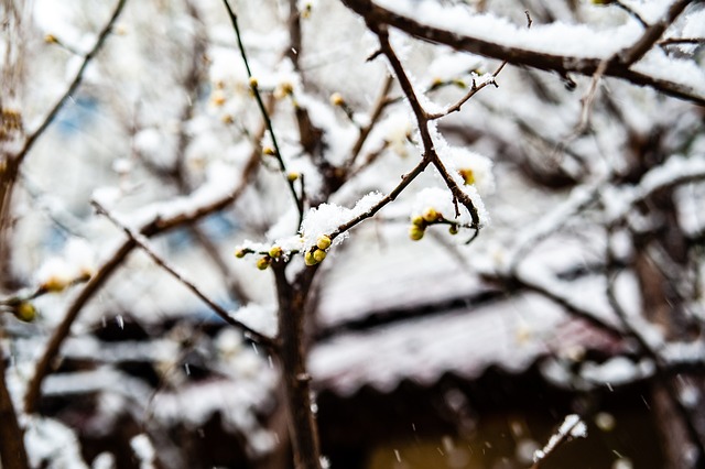 有必要先认 有必要先认